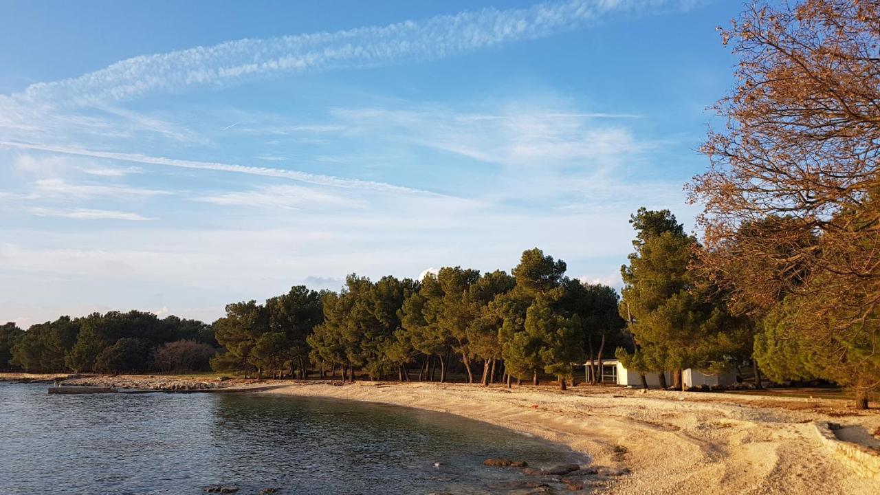Apartments Alea Rovinj Eksteriør billede